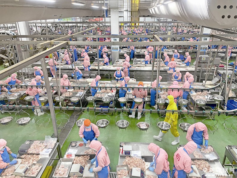 ▲阜新六和农牧有限公司生产车间内工人正在分装鸡肉制品.jpg